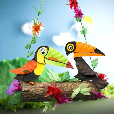 Rainforest Toucan craft activity