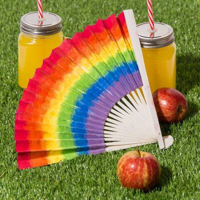 Rainbow Fan craft activity