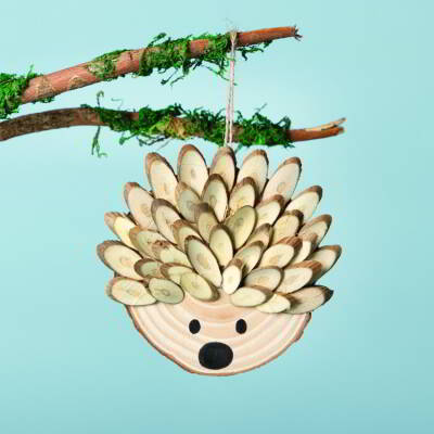 Hedgehog Log Slice craft activity