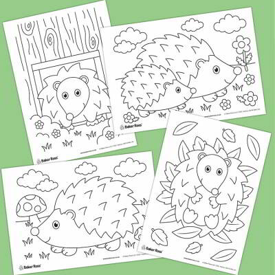 Hedgehog Pictures craft activity