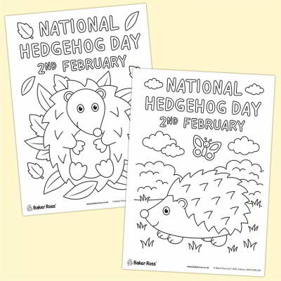 Hedgehog Posters craft activity
