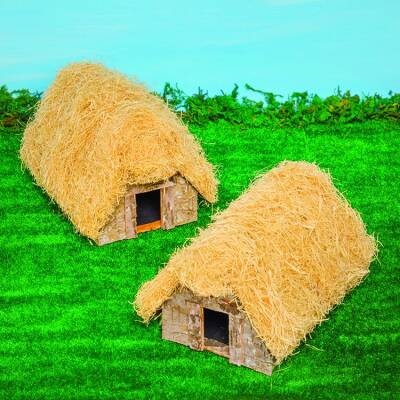 Anglo-Saxon Longhouse craft activity