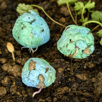 Planet Earth Seed Balls craft activity
