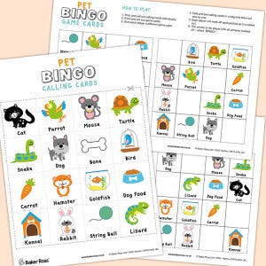 Pet Bingo craft activity